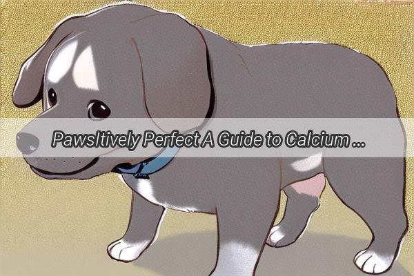 PawsItively Perfect A Guide to Calcium Needs at Every Stage of Your Dogs Life